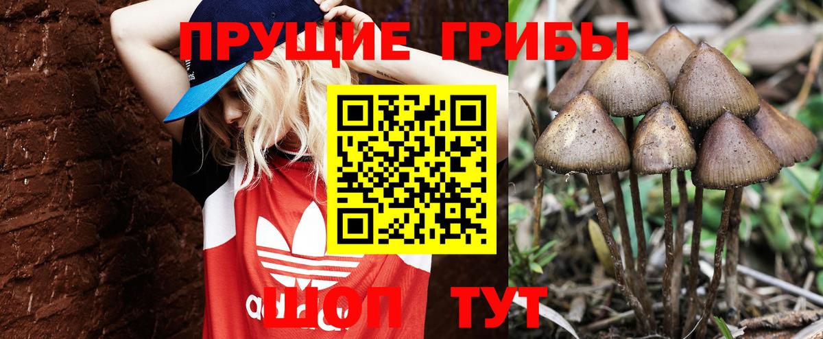 Галлюциногенные грибы прущие грибы Йошкар-Ола