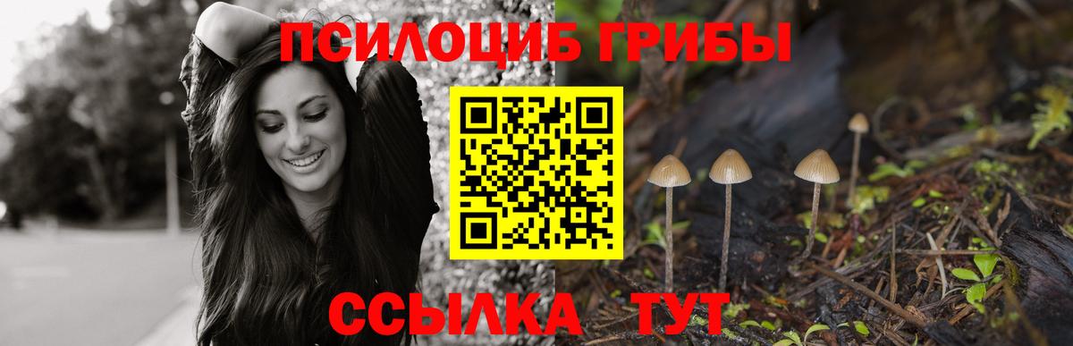Йошкар-Ола  Галлюциногенные грибы Psilocybine cubensis  Вход с VPN 